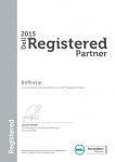 DELL CEE Registered Partner